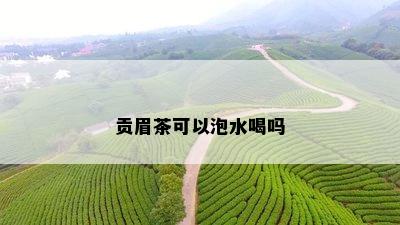 贡眉茶可以泡水喝吗