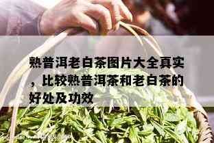 熟普洱老白茶图片大全真实，比较熟普洱茶和老白茶的好处及功效