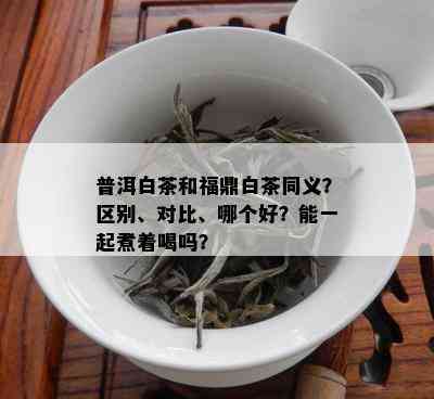 普洱白茶和福鼎白茶同义？区别、对比、哪个好？能一起煮着喝吗？