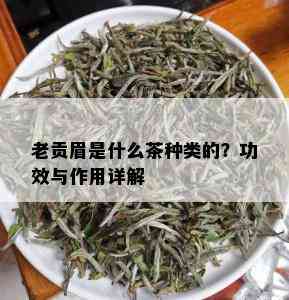 老贡眉是什么茶种类的？功效与作用详解