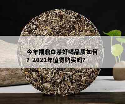 今年福鼎白茶好喝品质如何？2021年值得购买吗？