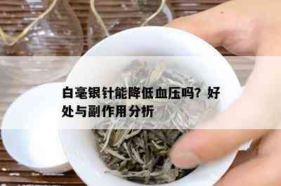 白毫银针能降低血压吗？好处与副作用分析