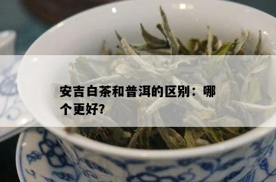 安吉白茶和普洱的区别：哪个更好？