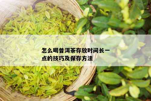 怎么喝普洱茶存放时间长一点的技巧及保存方法