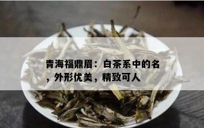 青海福鼎眉：白茶系中的名，外形优美，精致可人