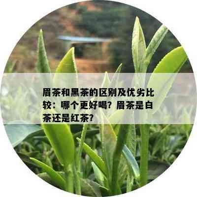 眉茶和黑茶的区别及优劣比较：哪个更好喝？眉茶是白茶还是红茶？