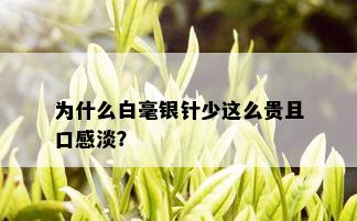 为什么白毫银针少这么贵且口感淡？