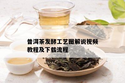 普洱茶发酵工艺图解说视频教程及下载流程