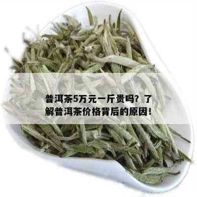 普洱茶5万元一斤贵吗？了解普洱茶价格背后的原因！