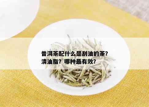 普洱茶配什么是刮油的茶？清油脂？哪种最有效？