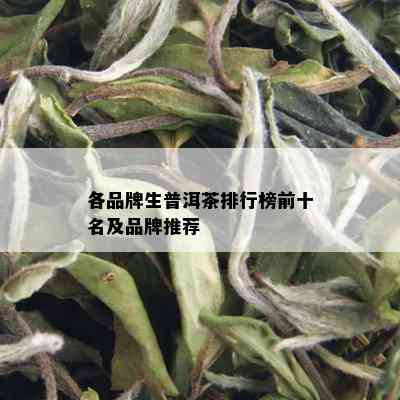 各品牌生普洱茶排行榜前十名及品牌推荐