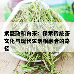 紫薇政和白茶：探索传统茶文化与现代生活相融合的路径