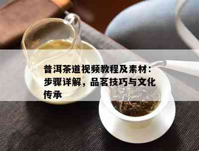 普洱茶道视频教程及素材：步骤详解，品茗技巧与文化传承