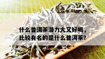 什么普洱茶潜力大又好喝，比较有名的是什么普洱茶？