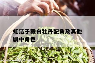 虹洁于毅白牡丹配角及其他剧中角色