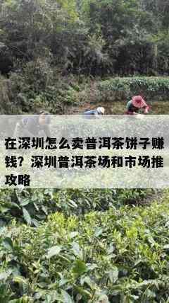 在深圳怎么卖普洱茶饼子赚钱？深圳普洱茶场和市场推攻略