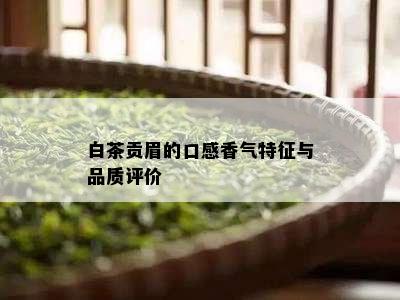 白茶贡眉的口感香气特征与品质评价