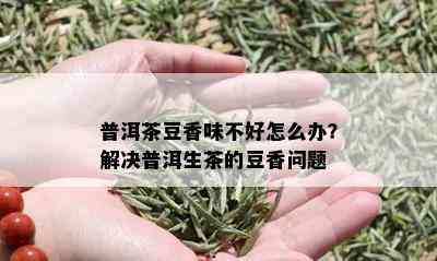 普洱茶豆香味不好怎么办？解决普洱生茶的豆香问题