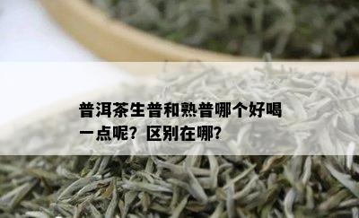 普洱茶生普和熟普哪个好喝一点呢？区别在哪？