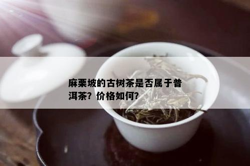 麻栗坡的古树茶是否属于普洱茶？价格如何？