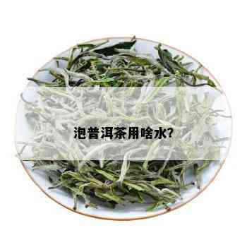 泡普洱茶用啥水？