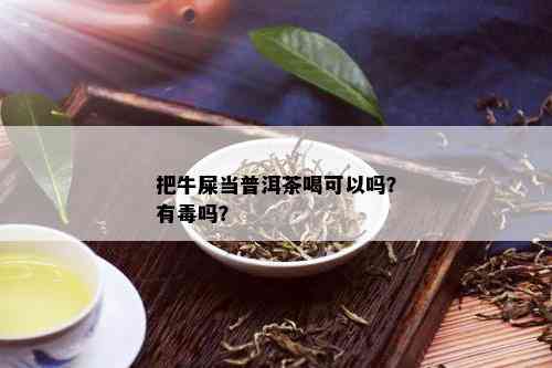 把牛屎当普洱茶喝可以吗？有吗？