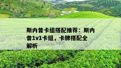 斯内普卡组搭配推荐：斯内普1v1卡组，卡牌搭配全解析