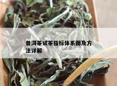 普洱茶试茶指标体系图及方法详解