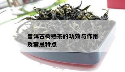 普洱古树熟茶的功效与作用及禁忌特点