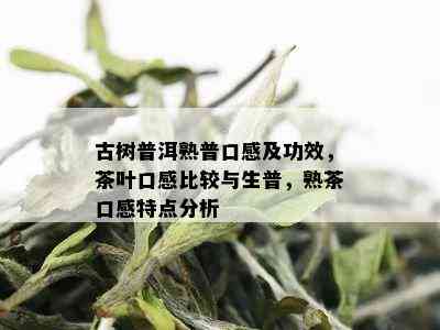 古树普洱熟普口感及功效，茶叶口感比较与生普，熟茶口感特点分析