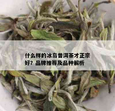 什么样的冰岛普洱茶才正宗好？品牌推荐及品种解析