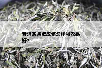 普洱茶减肥应该怎样喝效果好？