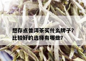 想存点普洱茶买什么牌子？比较好的选择有哪些？