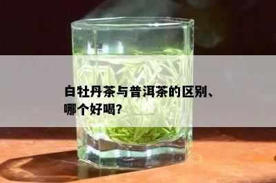 白牡丹茶与普洱茶的区别、哪个好喝？