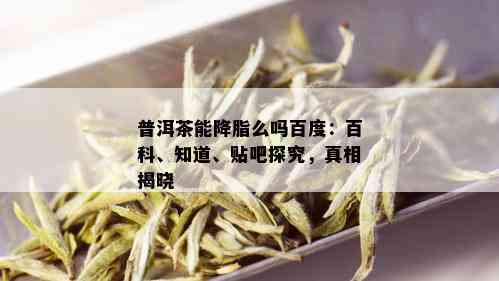 普洱茶能降脂么吗百度：百科、知道、贴吧探究，真相揭晓