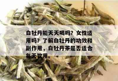 白牡丹能天天喝吗？女性适用吗？了解白牡丹的功效和副作用，白牡丹茶是否适合每天饮用。