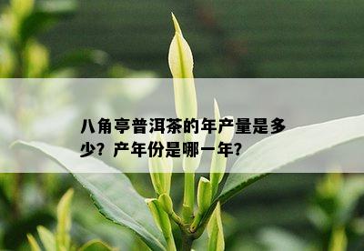 八角亭普洱茶的年产量是多少？产年份是哪一年？