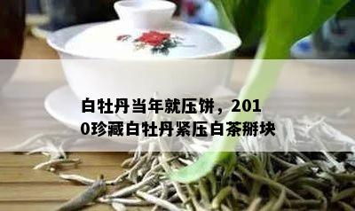 白牡丹当年就压饼，2010珍藏白牡丹紧压白茶掰块