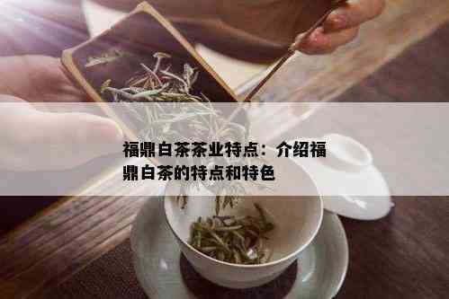 福鼎白茶茶业特点：介绍福鼎白茶的特点和特色