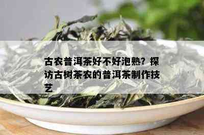 古农普洱茶好不好泡熟？探访古树茶农的普洱茶制作技艺