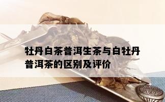 牡丹白茶普洱生茶与白牡丹普洱茶的区别及评价