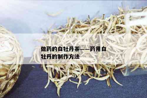 做的白牡丹茶——用白牡丹的制作方法