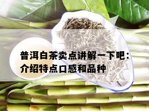 普洱白茶卖点讲解一下吧：介绍特点口感和品种