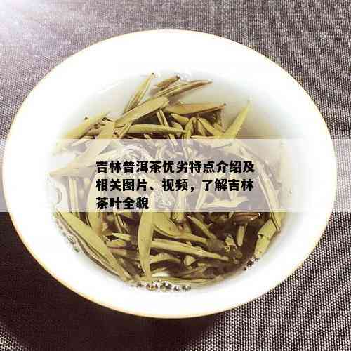 吉林普洱茶优劣特点介绍及相关图片、视频，了解吉林茶叶全貌