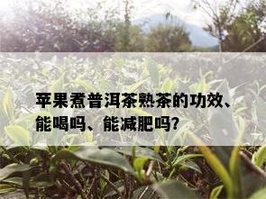 苹果煮普洱茶熟茶的功效、能喝吗、能减肥吗？