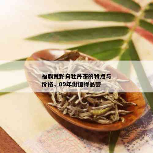 福鼎荒野白牡丹茶的特点与价格，09年份值得品尝