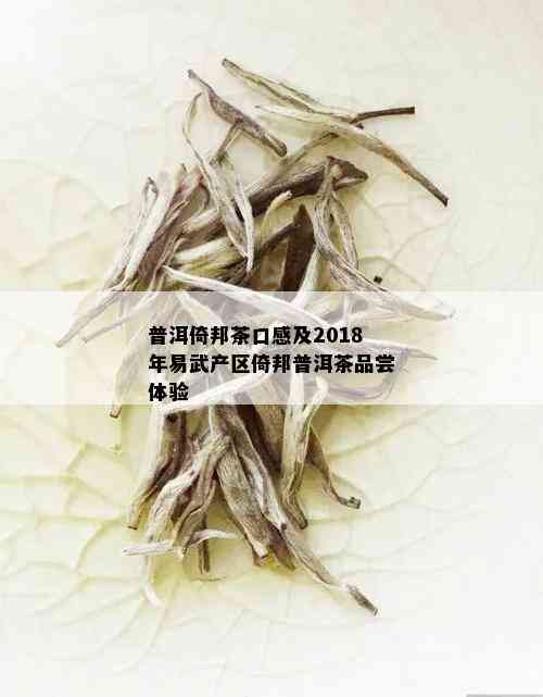 普洱倚邦茶口感及2018年易武产区倚邦普洱茶品尝体验