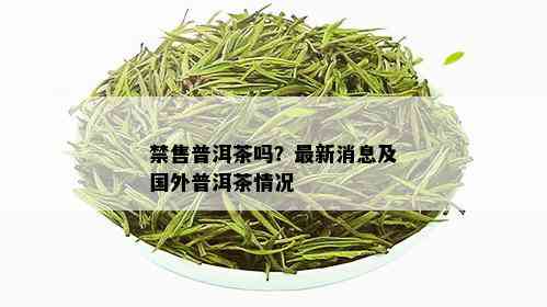 禁售普洱茶吗？最新消息及国外普洱茶情况