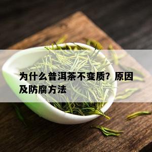 为什么普洱茶不变质？原因及防腐方法