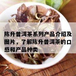 陈升普洱茶系列产品介绍及图片，了解陈升普洱茶的口感和产品种类